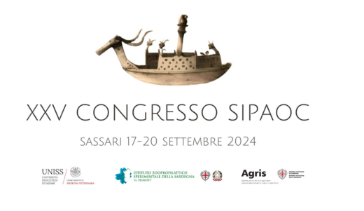 Convegno Sipaoc